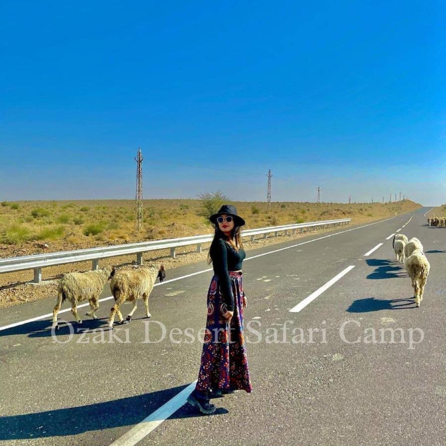 Ozaki Desert Camp & Resort ジャイサルメール エクステリア 写真